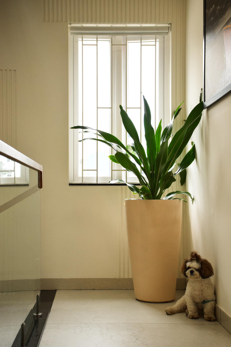 Project 3 — photo 11